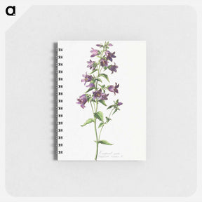 アートメモ帳-Campanule Gantelée
 - クリーブランド美術館 Memo.
