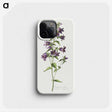 3-30_Cleveland-Museum-of-Art_phone