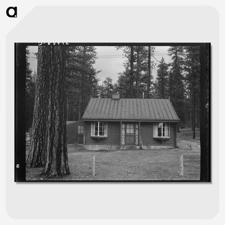 3-30_Dorothea-Lange_picture-crop