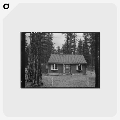 3-30_Dorothea-Lange_postcard