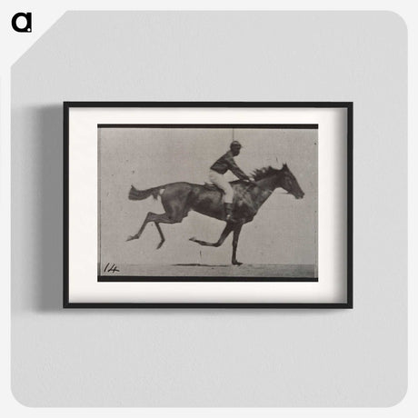 3-30_Eadweard-Muybridge_blk