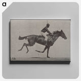 3-30_Eadweard-Muybridge_canvas