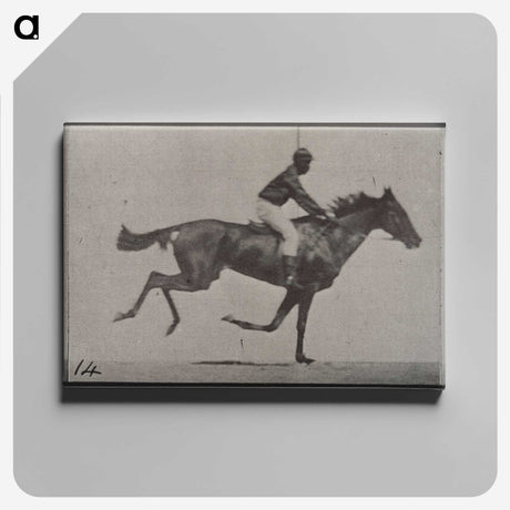 3-30_Eadweard-Muybridge_canvas