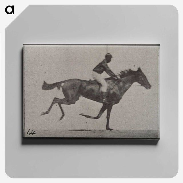 3-30_Eadweard-Muybridge_canvas