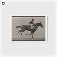 アートポストカード-Galloping Horse and Rider
 - エドワード マイブリッジ Postcard.