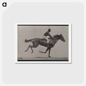 アートポストカード-Galloping Horse and Rider
 - エドワード マイブリッジ Postcard.
