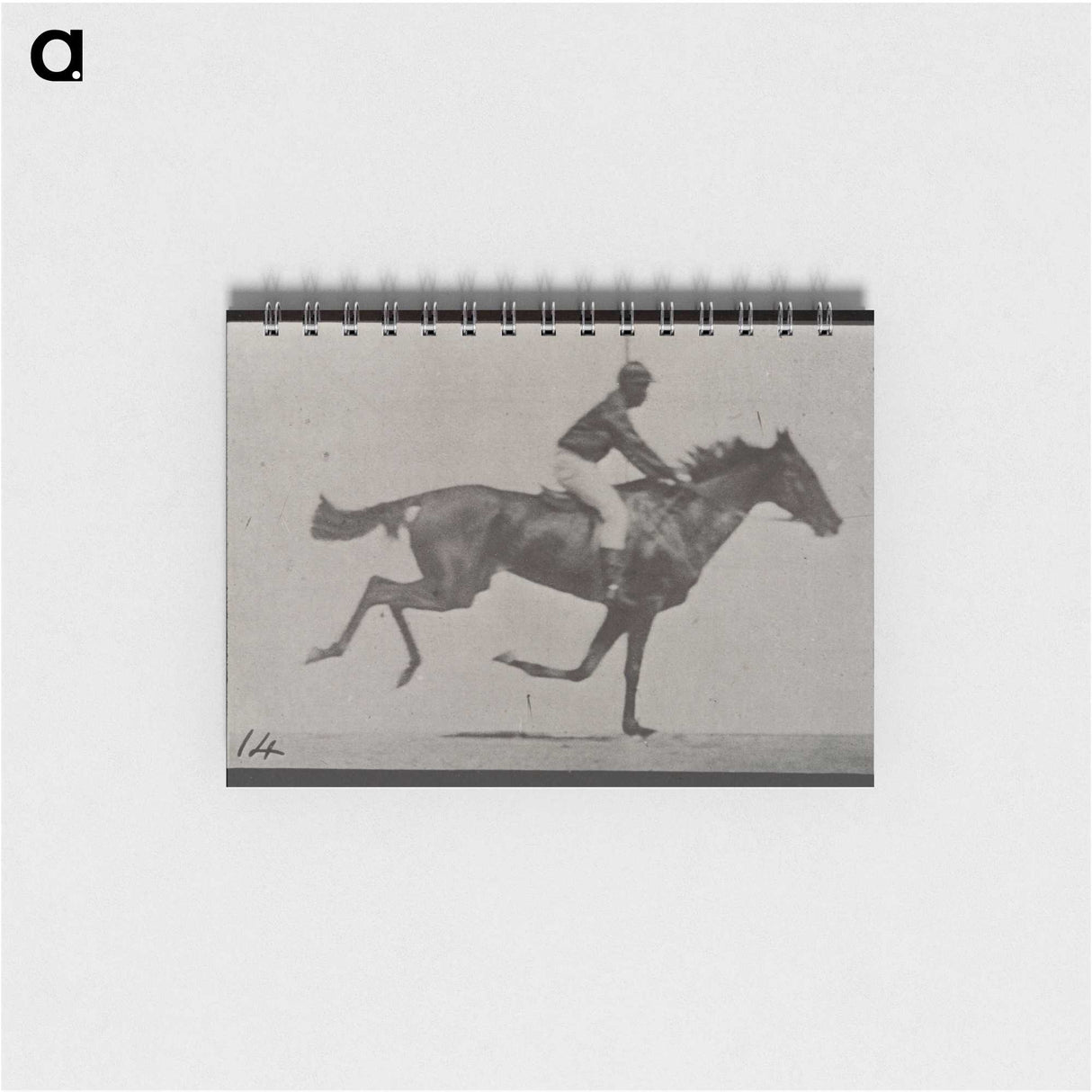 3-30_Eadweard-Muybridge_memo