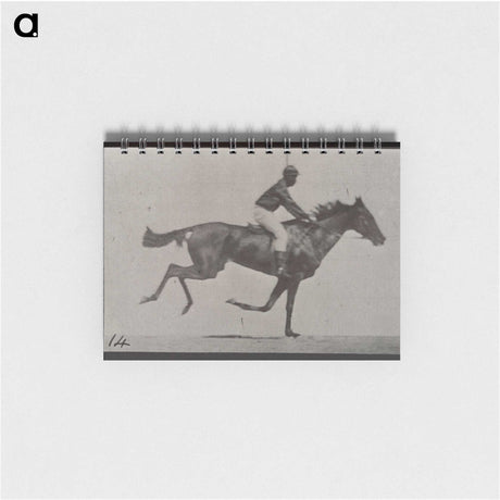 3-30_Eadweard-Muybridge_memo