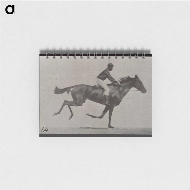3-30_Eadweard-Muybridge_memo