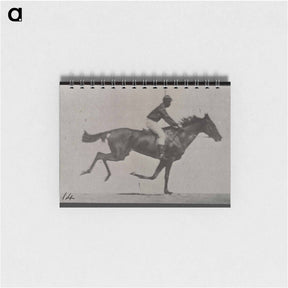 アートメモ帳-Galloping Horse and Rider
 - エドワード マイブリッジ Memo.