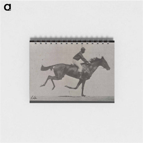 アートメモ帳-Galloping Horse and Rider
 - エドワード マイブリッジ Memo.