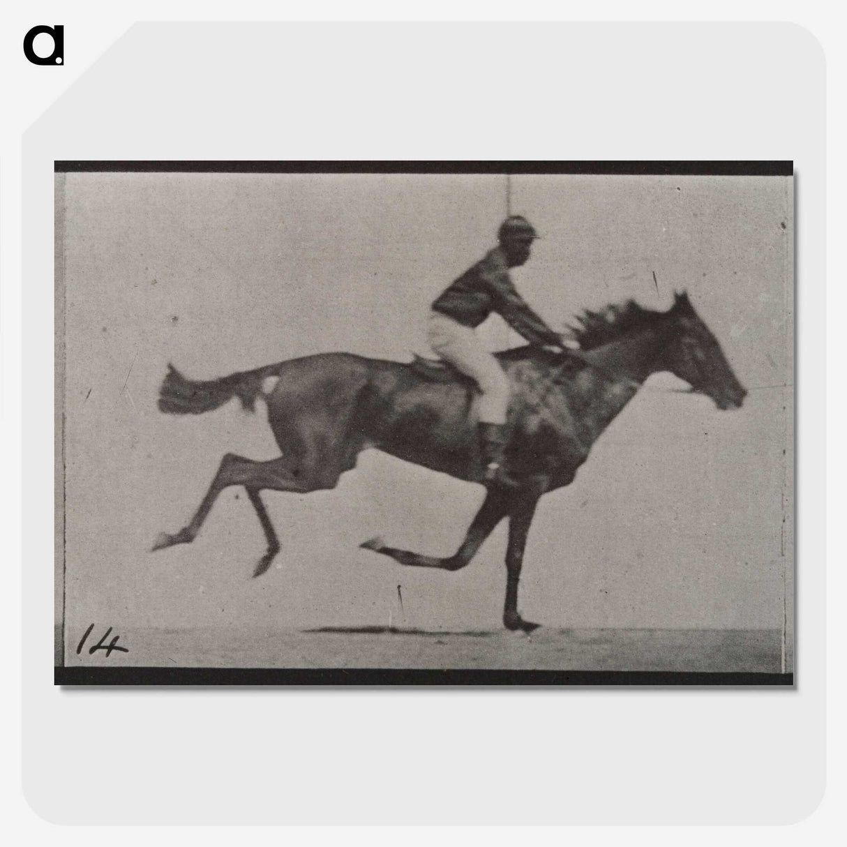 3-30_Eadweard-Muybridge_picture-crop