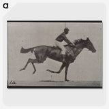 3-30_Eadweard-Muybridge_picture-crop