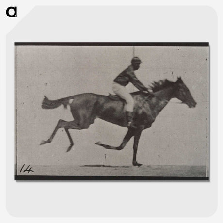 3-30_Eadweard-Muybridge_picture-crop