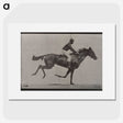 3-30_Eadweard-Muybridge_picture