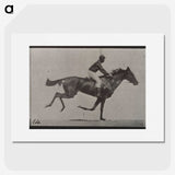 3-30_Eadweard-Muybridge_picture