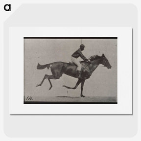 3-30_Eadweard-Muybridge_picture