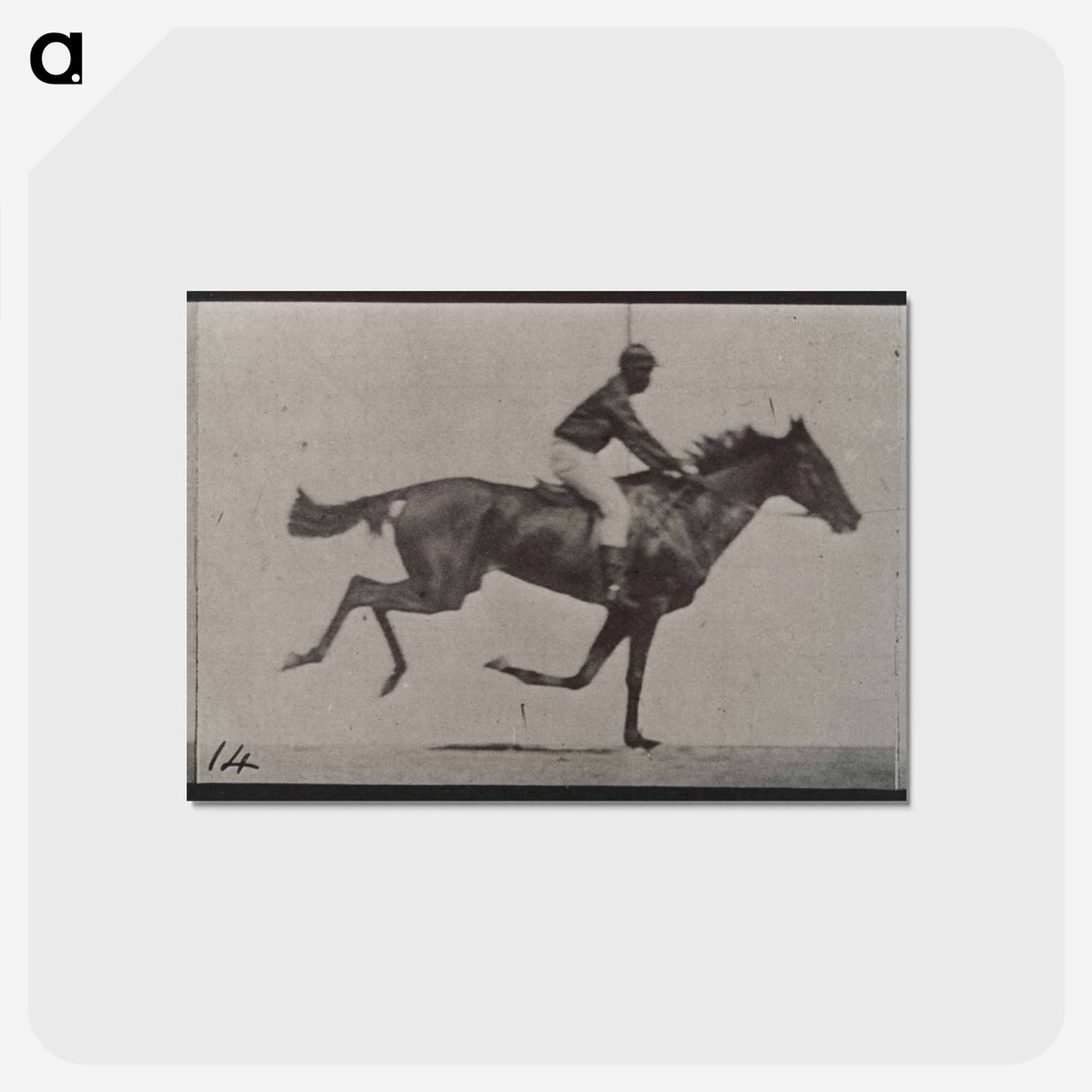 アートポストカード-Galloping Horse and Rider
 - エドワード マイブリッジ Postcard.