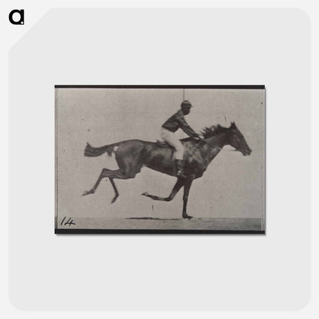 アートポストカード-Galloping Horse and Rider
 - エドワード マイブリッジ Postcard.