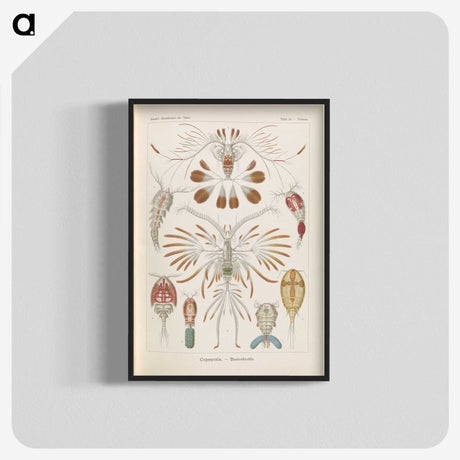 3-30_Ernst-Haeckel_blk-crop