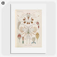 3-30_Ernst-Haeckel_picture