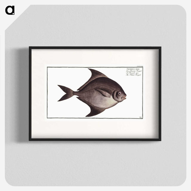 3-30_Ichtyologie-ou-Histoire-naturelle_blk