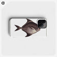 3-30_Ichtyologie-ou-Histoire-naturelle_phone