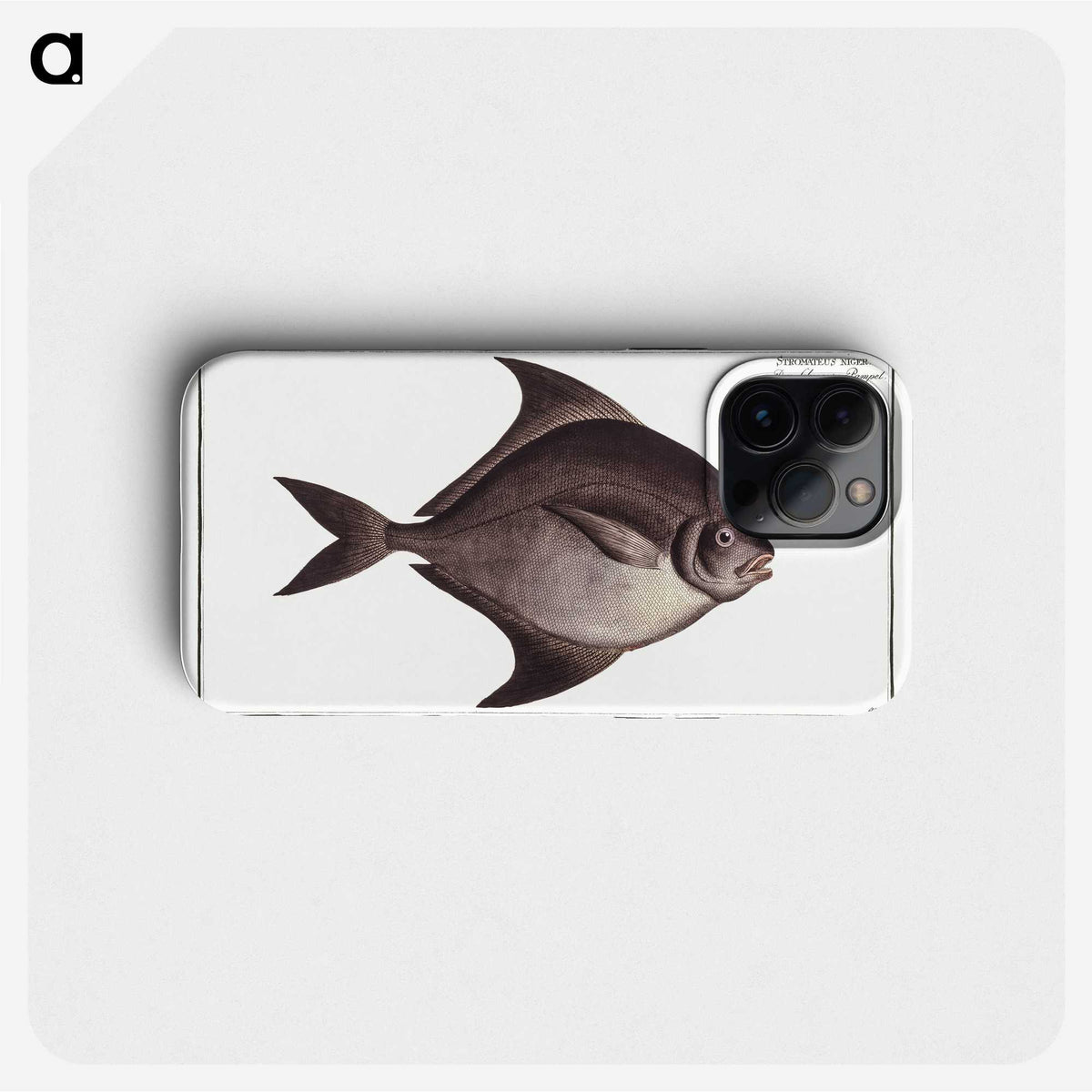 3-30_Ichtyologie-ou-Histoire-naturelle_phone