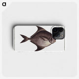 3-30_Ichtyologie-ou-Histoire-naturelle_phone