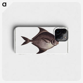 3-30_Ichtyologie-ou-Histoire-naturelle_phone