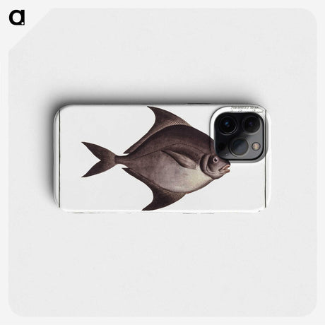 3-30_Ichtyologie-ou-Histoire-naturelle_phone