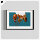 3-30_Insects-Unlocked-Project_blk