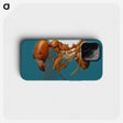 3-30_Insects-Unlocked-Project_phone