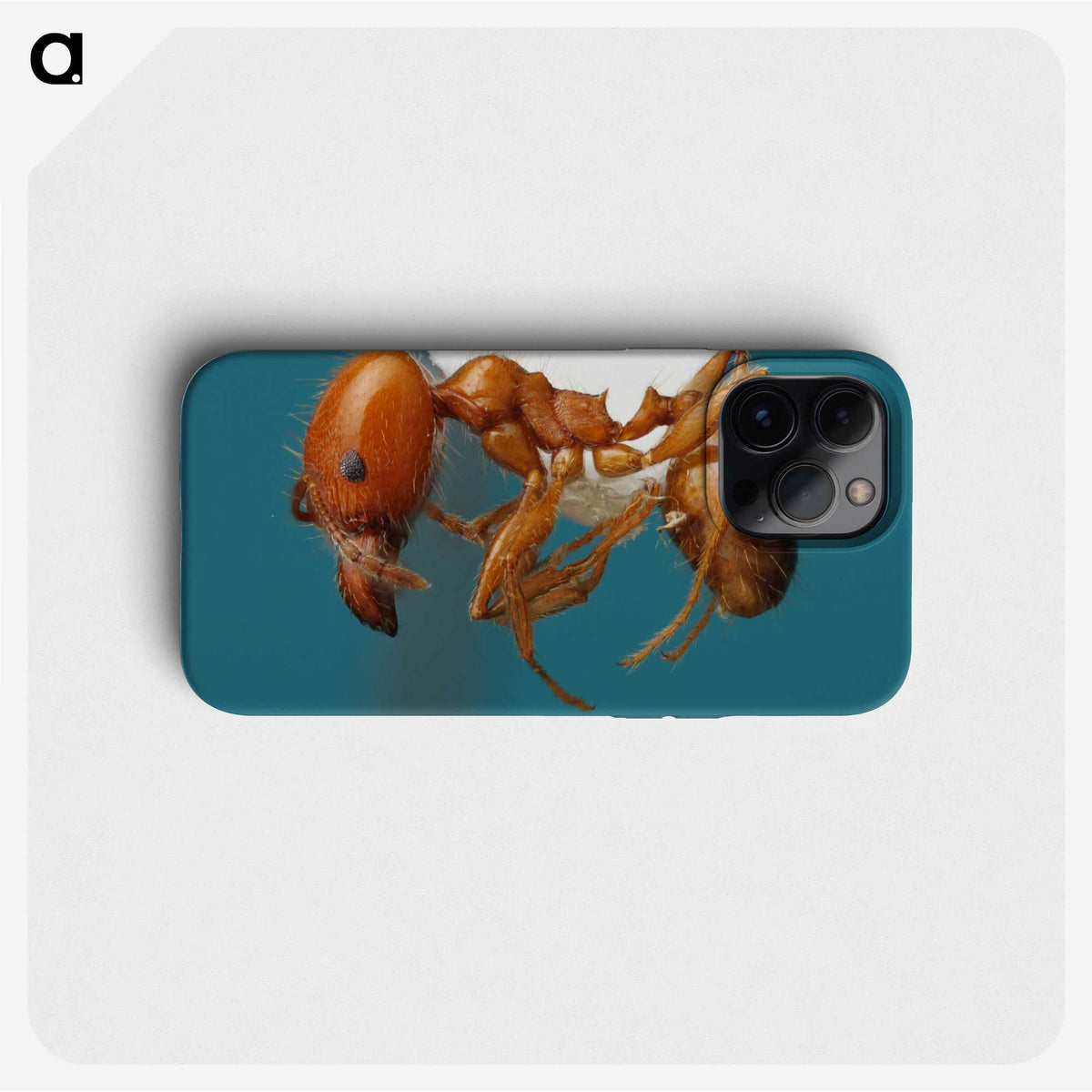 3-30_Insects-Unlocked-Project_phone