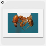 3-30_Insects-Unlocked-Project_picture