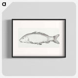 Fish - Jean Bernard Poster.