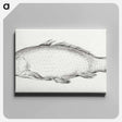アートパネル-Fish - ジャン ベルナール Canvas.