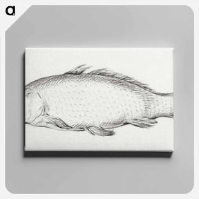 アートパネル-Fish - ジャン ベルナール Canvas.