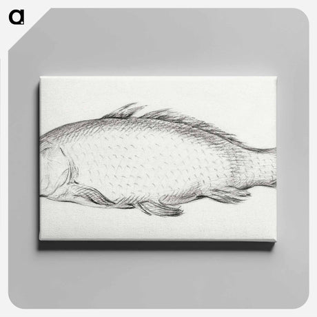 アートパネル-Fish - ジャン ベルナール Canvas.