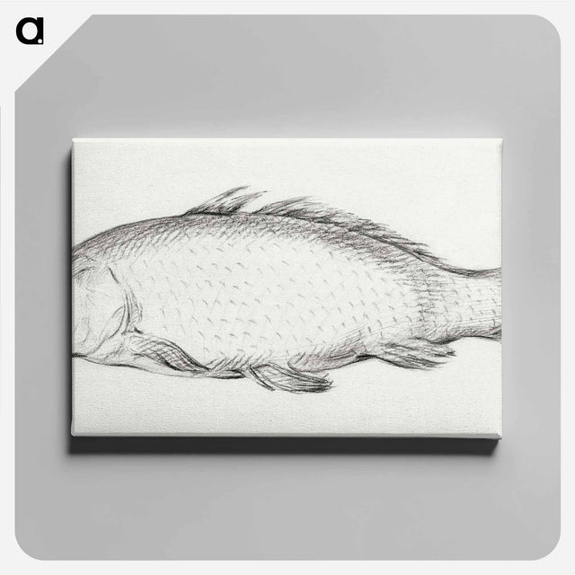 アートパネル-Fish - ジャン ベルナール Canvas.