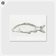アートポストカード-Fish - ジャン ベルナール Postcard.