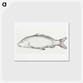 アートポストカード-Fish - ジャン ベルナール Postcard.