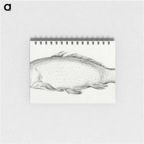 3-30_Jean-Bernard_memo