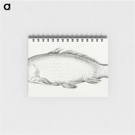 3-30_Jean-Bernard_memo