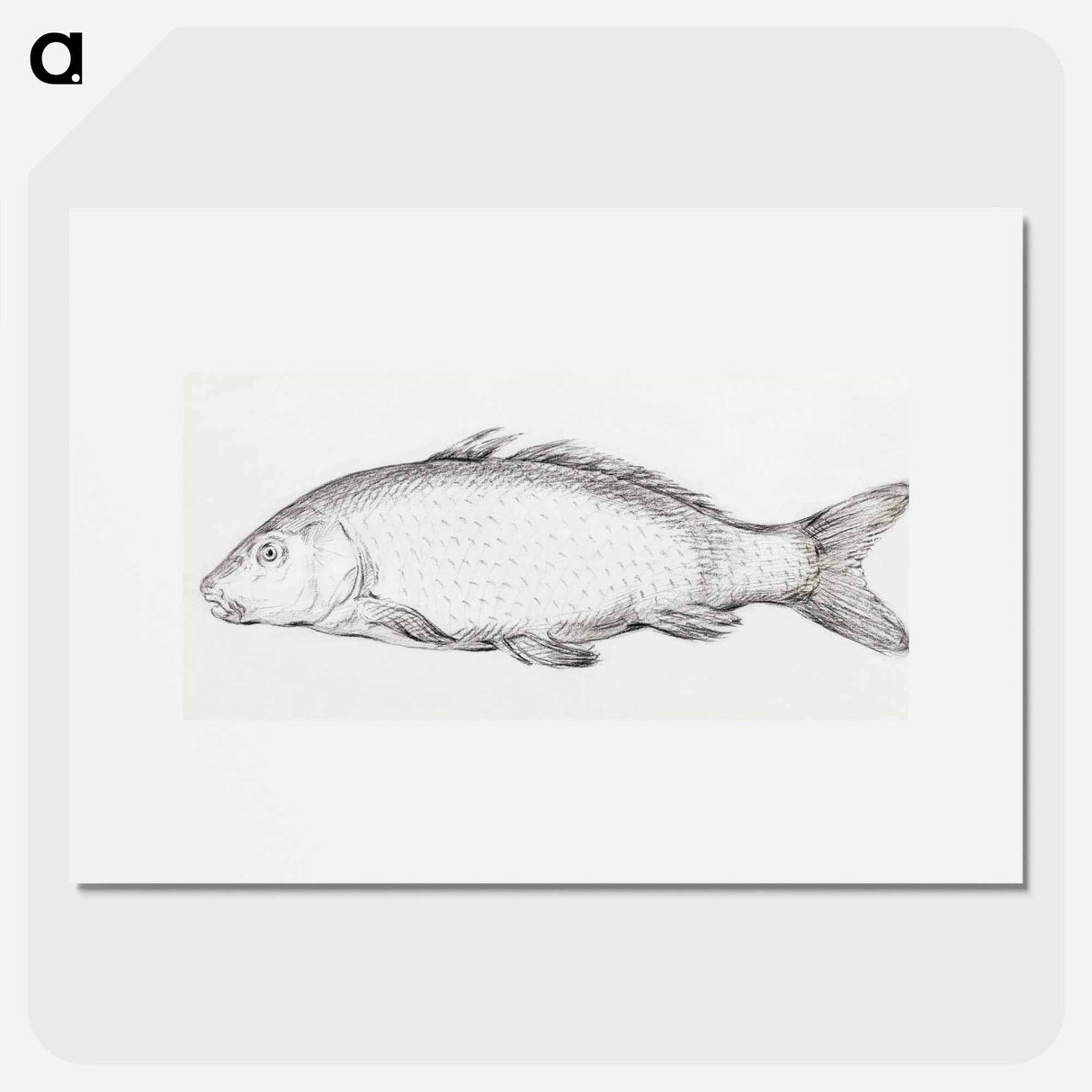 Fish - Jean Bernard Poster.