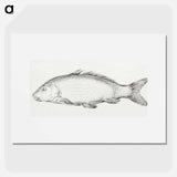 Fish - Jean Bernard Poster.