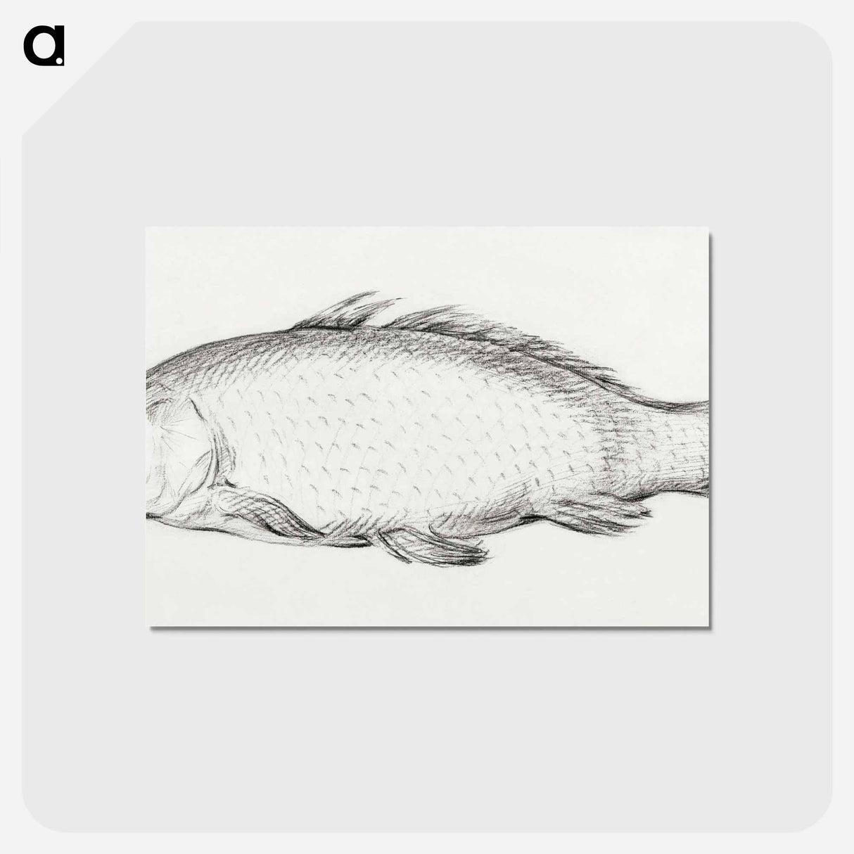 アートポストカード-Fish - ジャン ベルナール Postcard.