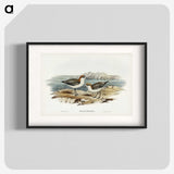 3-30_John-Gould_blk