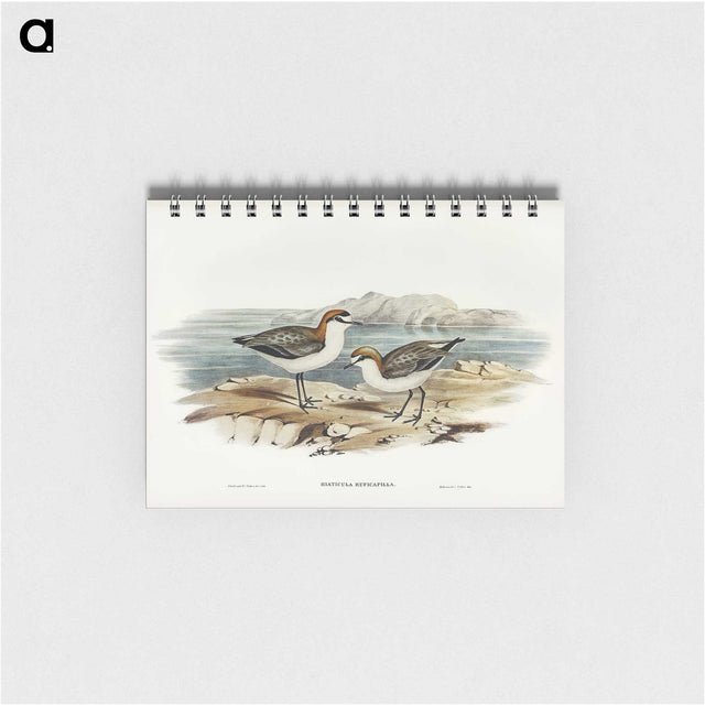 3-30_John-Gould_memo