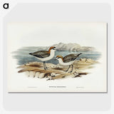 3-30_John-Gould_picture-crop